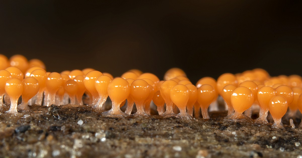 Rus tilida cuckolds, cuckolds va xotini jinsiy aloqa aks ettirilgan onlayn komikslar Yosh qiz bilan uy qurilishi pornosini tomosha qiling